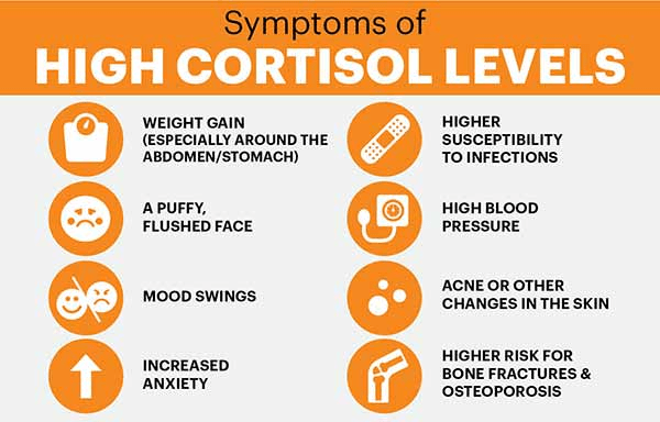 Effects of elevated cortisol